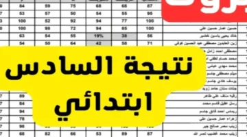 انتهى الانتظار.. رابط الاستعلام عن نتائج السادس الإعدادي 2025 الدور الثاني في العراق 1